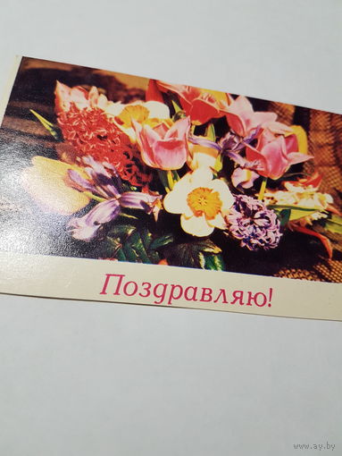 Открытка Поздравляю! 1969 г.