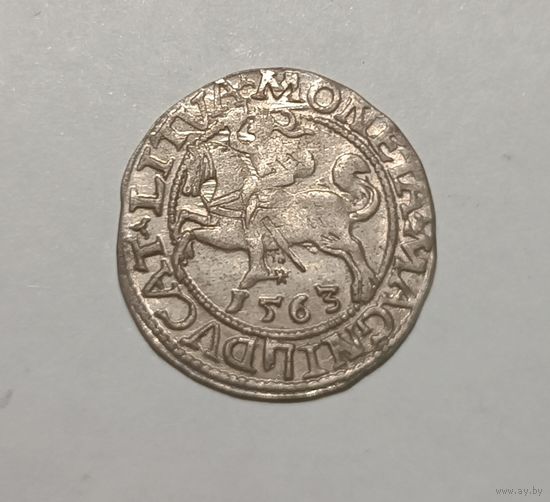 Паўгрошы Жыгiмонта II. 1563, Вильно. Красивый