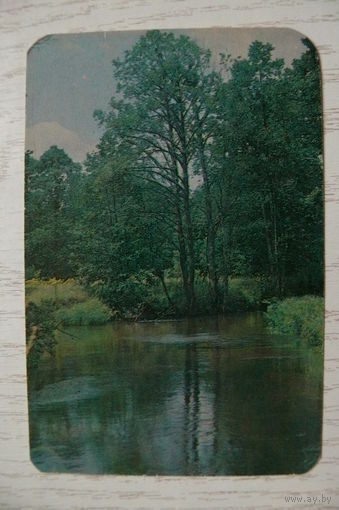 Календарик, 1989, Природа.