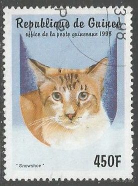 Гвинея. Домашняя кошка. 1997г. Mi#1775.