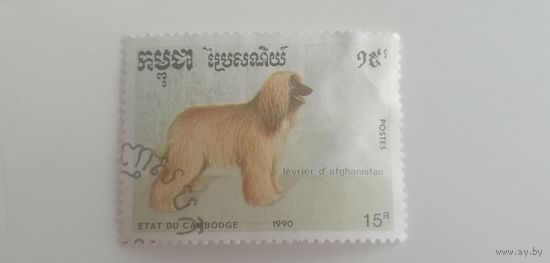 Камбоджа 1990. Собаки.
