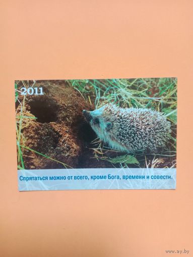 Календарик 2011
