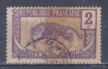 [906] Французские колонии. Среднее Конго 1907. Фауна.Леопард.2 с. Гашеная марка.