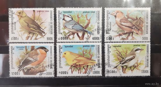 Камбоджа. 1999 год. Фауна. Птицы (1252)