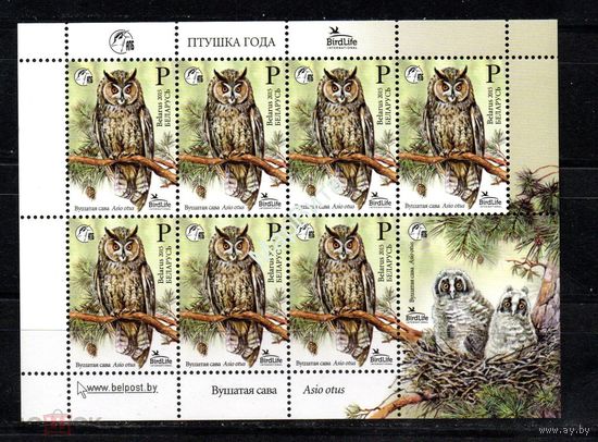 2015 БЕЛАРУСЬ Малый лист "Птица года. Ушастая сова  "  MNH