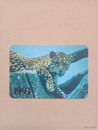 Календарик 1993