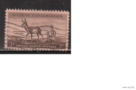 США-1956, (Мих.700), гаш. ,Фауна , Антилопа,