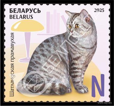 БЕЛАРУСЬ  2025  "Детская филателия. Домашние питомцы" MNH