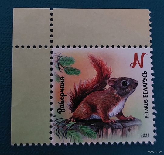 Беларусь 2021 Бельчонок