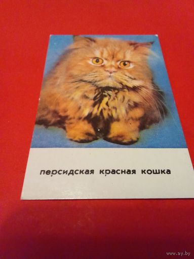 Календарик 1993г.