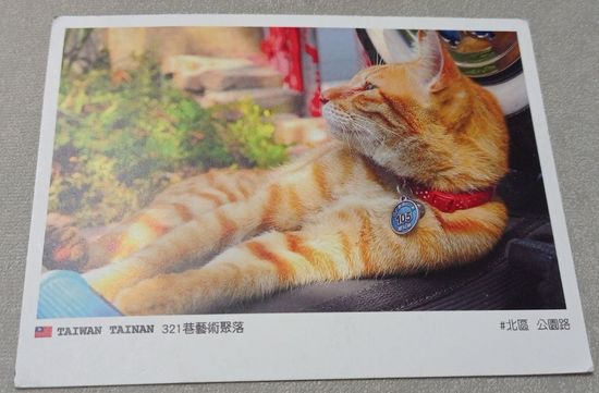 Посткроссинг. Открытка из Тайваня: рыжий кот  (10х15). Прошла почту. Художественная марка.