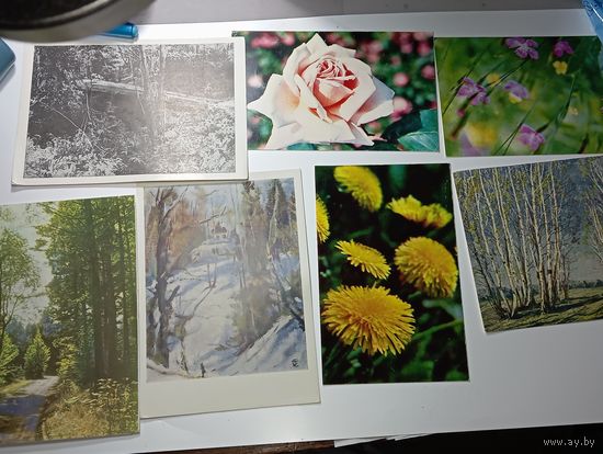 Открытки Растения , с рубля .