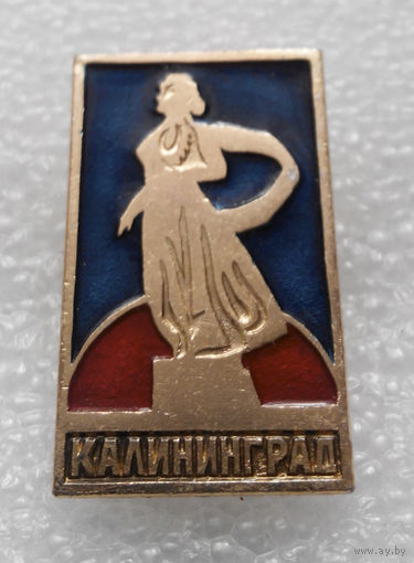 Значок. Калининград #0581