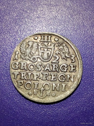 3 гроша ВКЛ и Речь Посполитая 1623 год