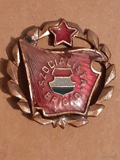 Социалистическая Бригада Венгрия.