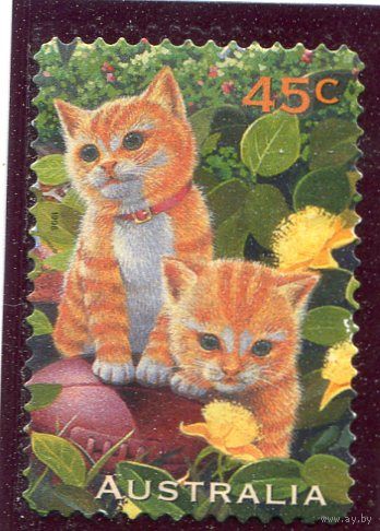 Австралия. Коты