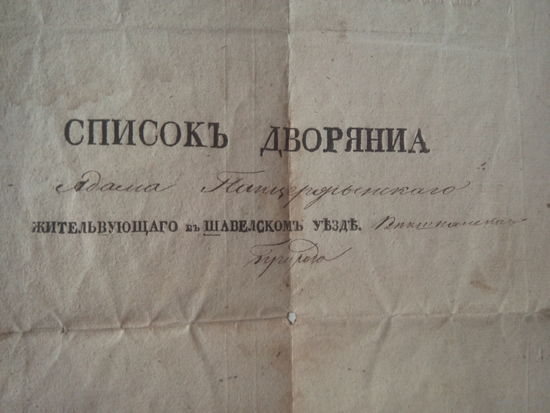 Посемейный список Рода Дворян Панцержынских,жительствующих в Шавельском Уезде.От 1833 года.С печатью и оригинальной подписью Шавельского предводителя Дворянства-Ковнацкаго.