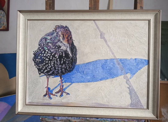 Картина ''Шпачок'' масло, холст Рабцевич И.В