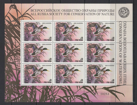 РОССИЯ 1998 ** Птицы, Утки России, лист 9 марок