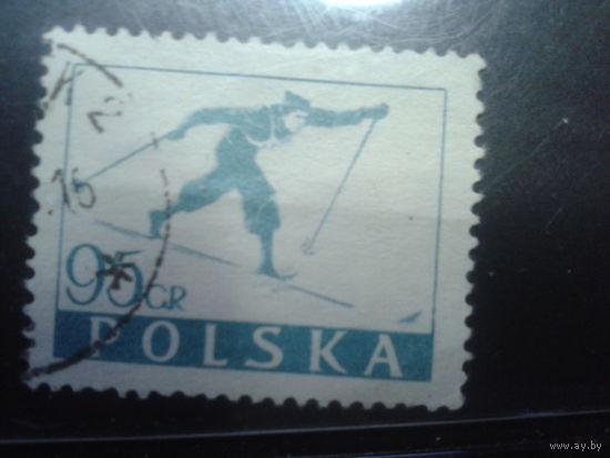 Польша, 1953, Лыжный спорт