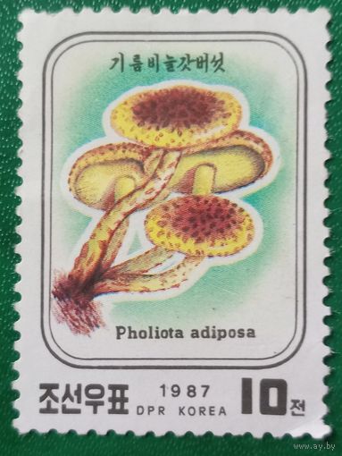 КНДР 1987. Грибы. Pholiota Adiposa. Марка из серии