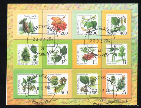 Восьмой стандартный выпуск Беларусь 2004 год (554-564) серия из 11 марок в малом листе