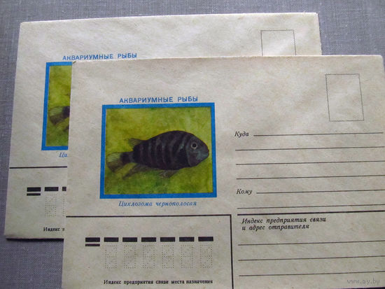 С026-0044 Конверт Чистый Аквариумные рыбы Цихлозома чернополосая 1982
