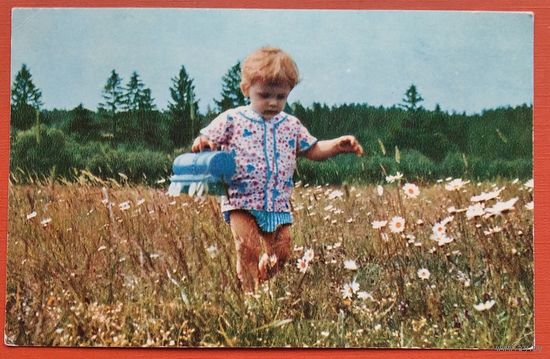 Чиликина О. Полюшко-поле. Дети. 1970 г. Чистая