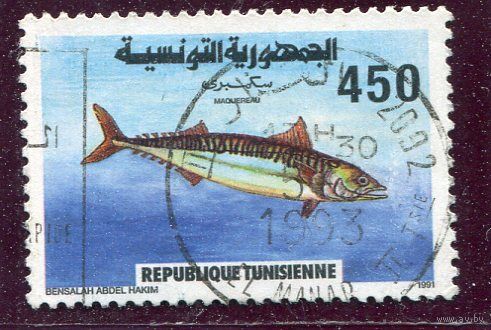 Тунис. Фауна. Рыбы