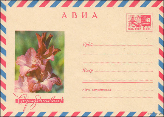 Художественный маркированный конверт СССР N 6046 (08.01.1969) АВИА  С праздником!