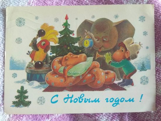 Зарубин. 1988