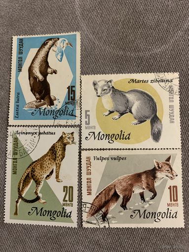 Монголия. Дикие животные. Полная серия