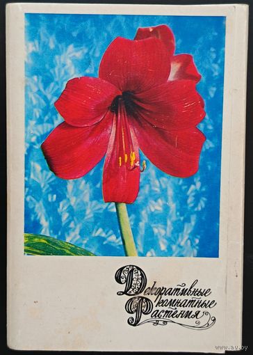 Комплект из 30 открыток (полный) Декоративные комнатные растения 1974