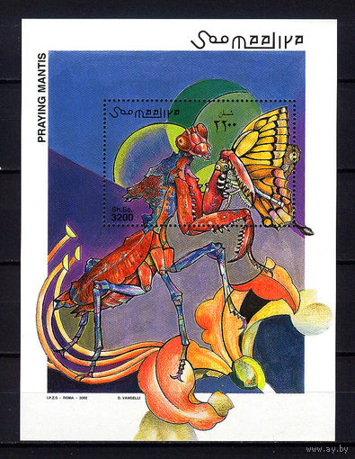 2002 Сомали. Богомол