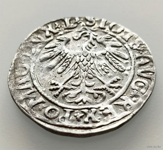Полугрош 1558, Жигимонт Август, Вильно. Окончания легенд: Ав - L, Рв - LITVA. Коллекционное состояние