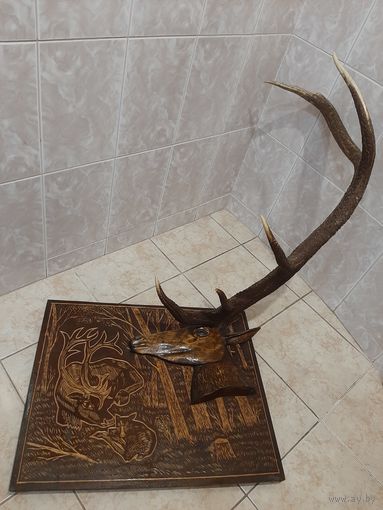 Панно с головой и рогом оленя