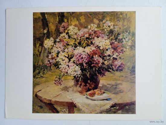 Цветы. Соколова. Флоксы