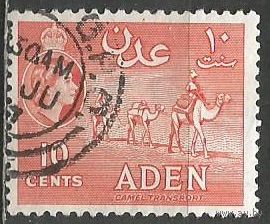 Аден. Королева Елизавета II. Караван верблюдов. 1953г. Mi#50.