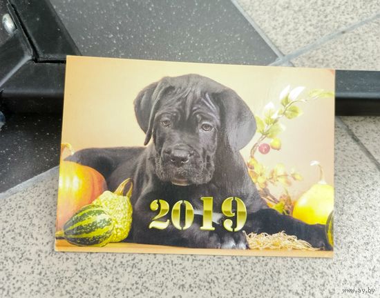 Календарик карманный 2019 черный щенок, тыквы