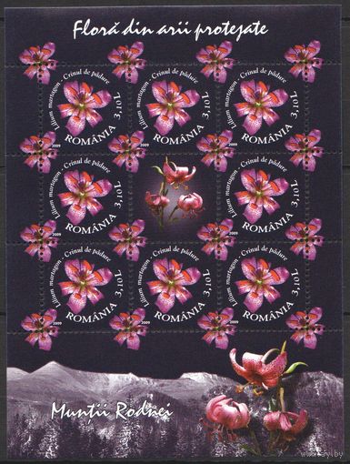 2009 Румыния Флора Цветы кб