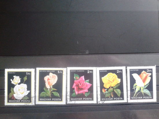 Венгрия 1982 Розы