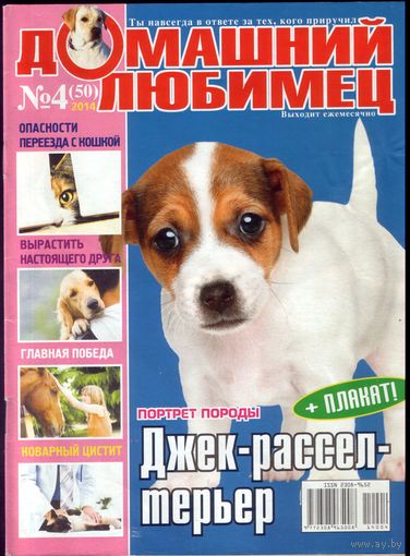 Домашний любимец #50
