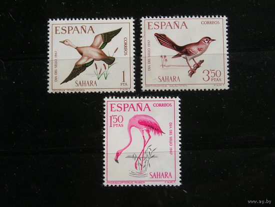 Испанская Сахара 1967 Птицы