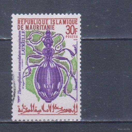 [113] Мавритания 1970. Фауна.Насекомые.Жук. Гашеная марка.