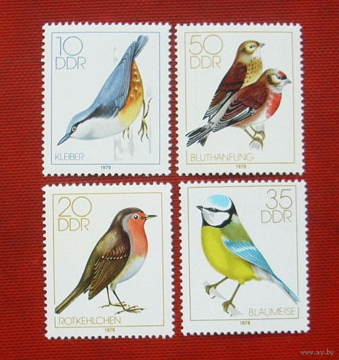 ГДР. Птицы. ( 4 марки ) 1979 года. 10-4.