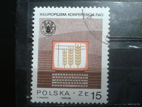 Польша, 1988, Конференция по продовольствию