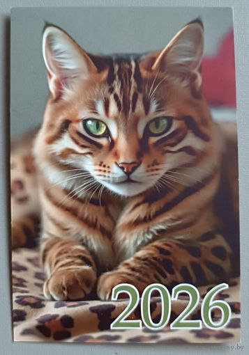 Кот. Календарик, 2026