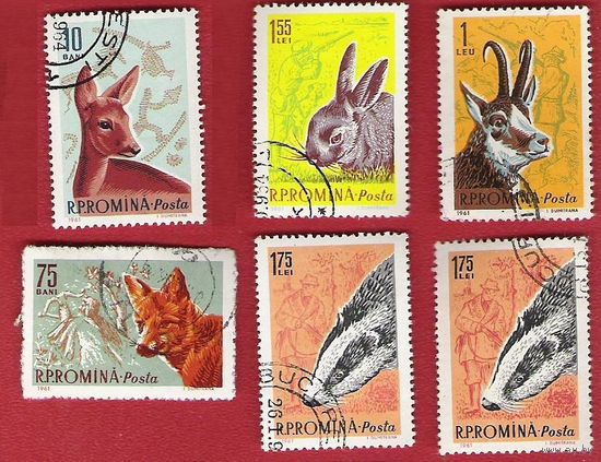 Румыния 1961 Дикие животные