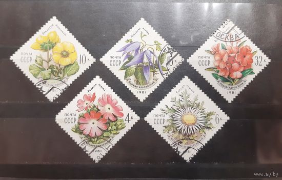 СССР. 1981 год. Флора. Цветы (212)