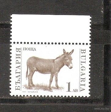 КГ Болгария 1991 Осел